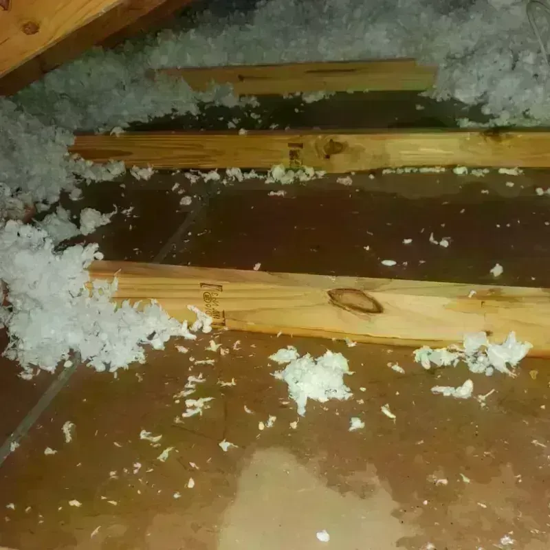 Attic Water Damage in Adair County, MO