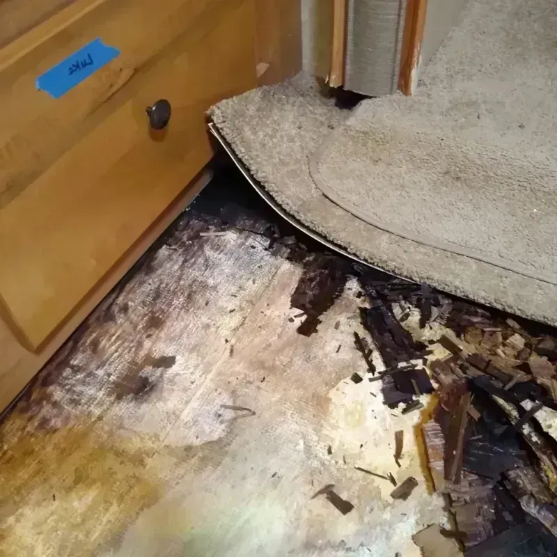 Wood Floor Water Damage in Adair County, MO